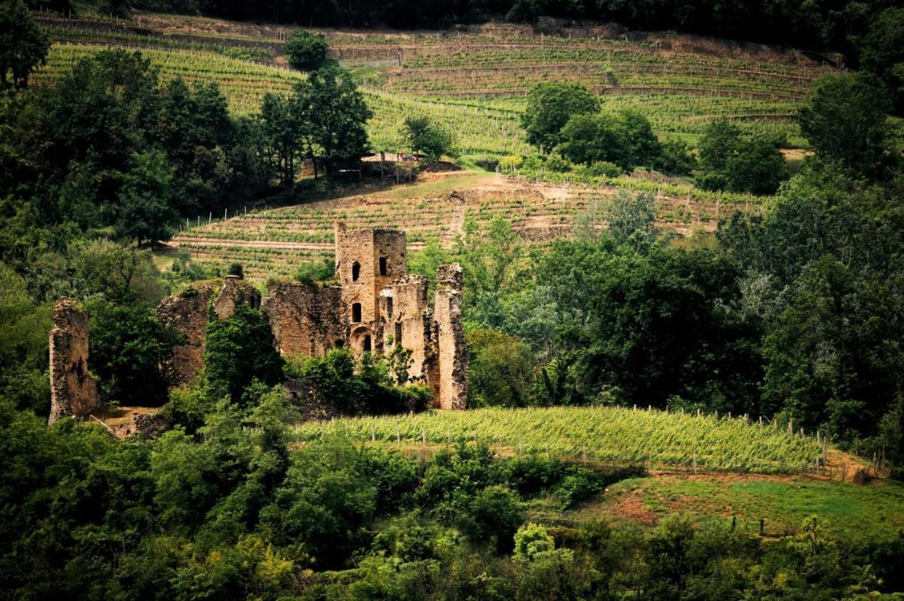 Villa Gelso Vesime Exterior photo